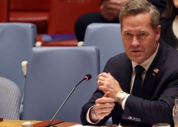 UN Security Council backs Trump’s Gaza peace plan after Waltz calls territory ‘hell on earth’